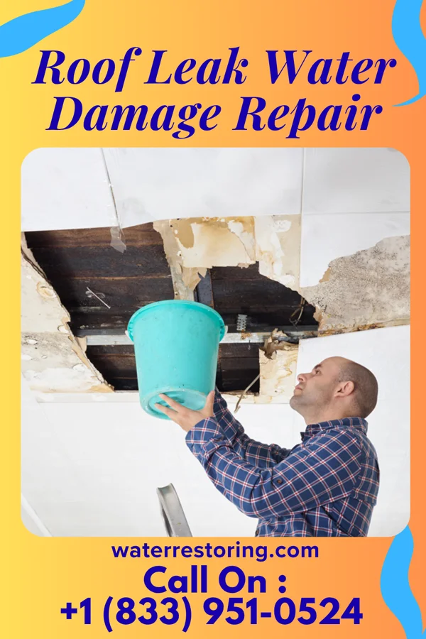 Roof Leak Water Damage Repair in Cedar Creek, NE